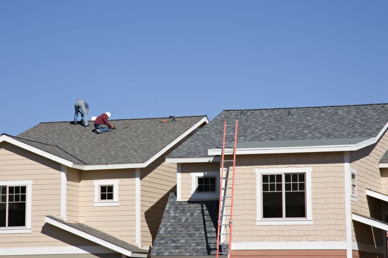 Asphalt Shingles Replacement detail